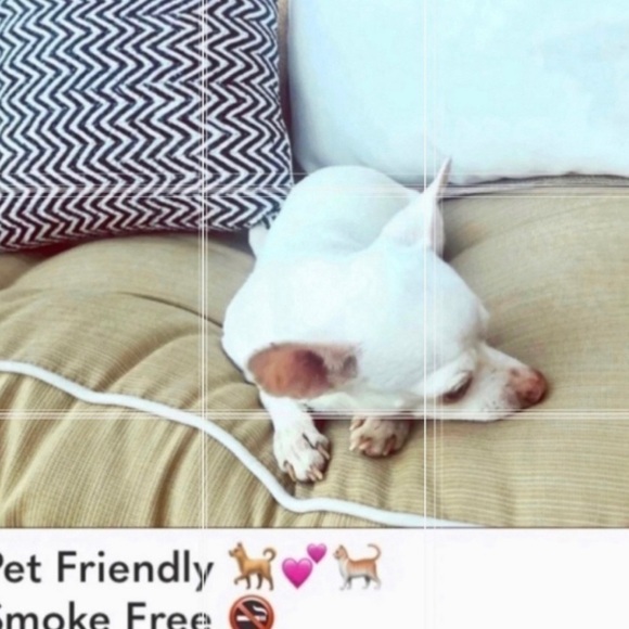 Sun & Shadow tee with gold foil design - Picture 9 of 9